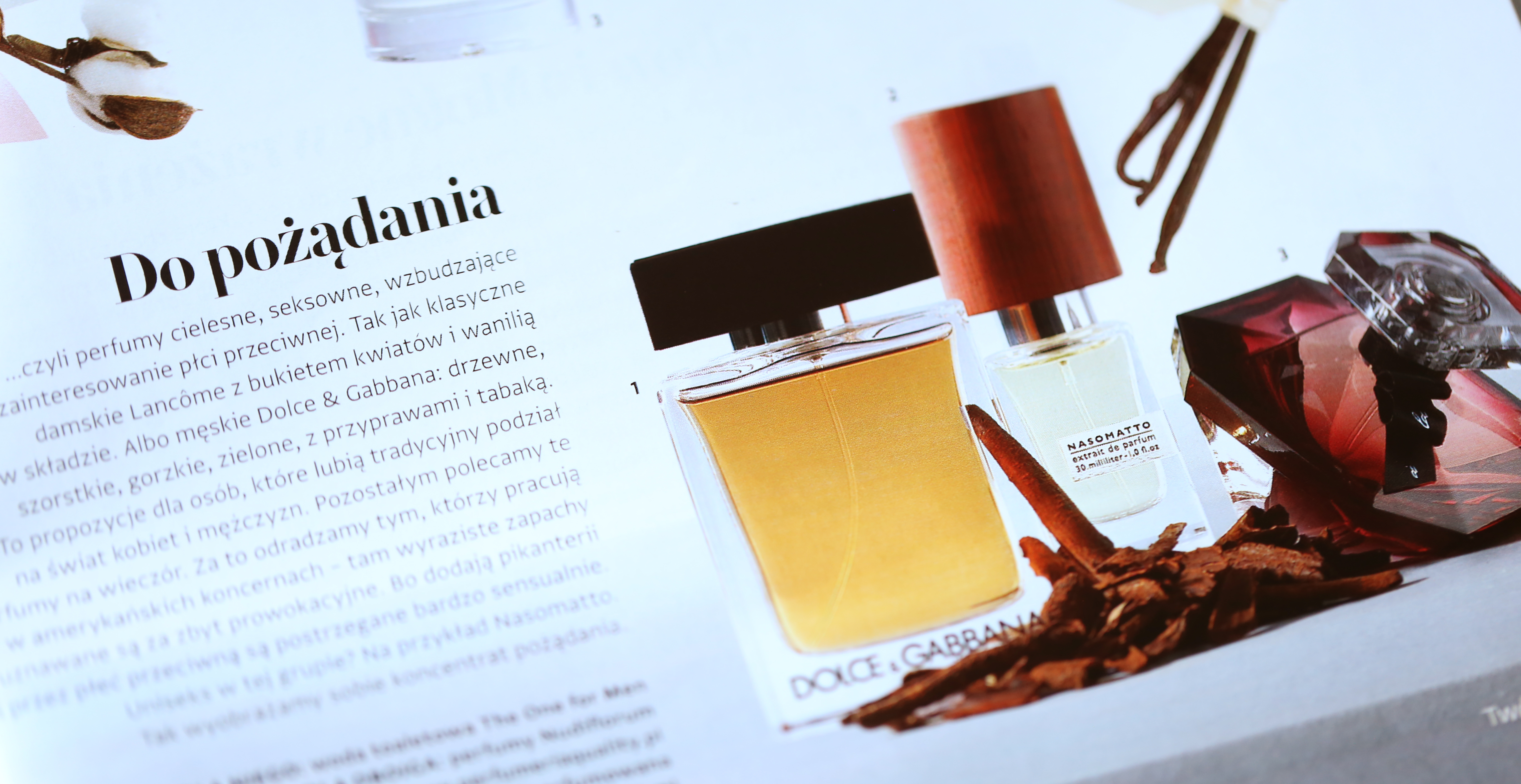 Nasomatto Nudiflorum Nasomatto Nudiflorum