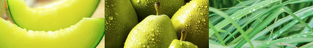 Oficjalne fotografie głównych nut Clean Rain: (od lewej) melon, gruszka i wetiweria