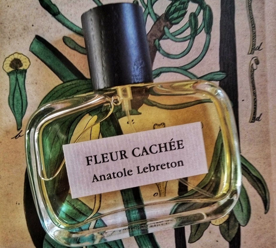 Anatole Lebreton Fleur Cachee