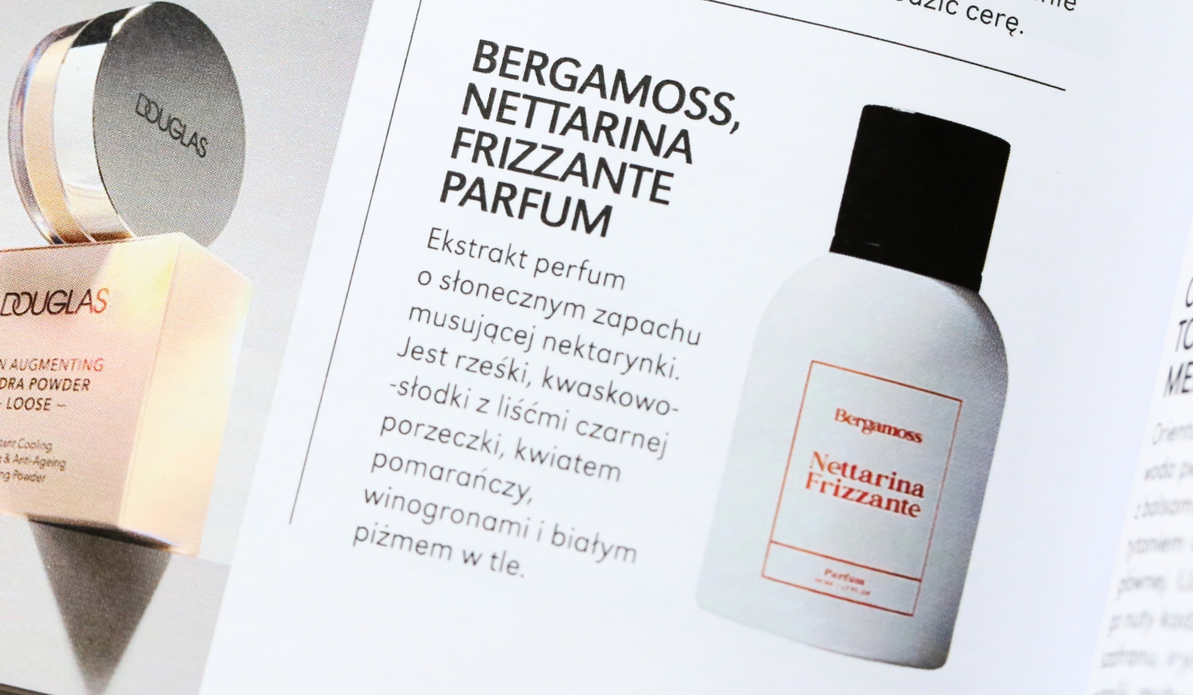 Nettarina magazyn PANI