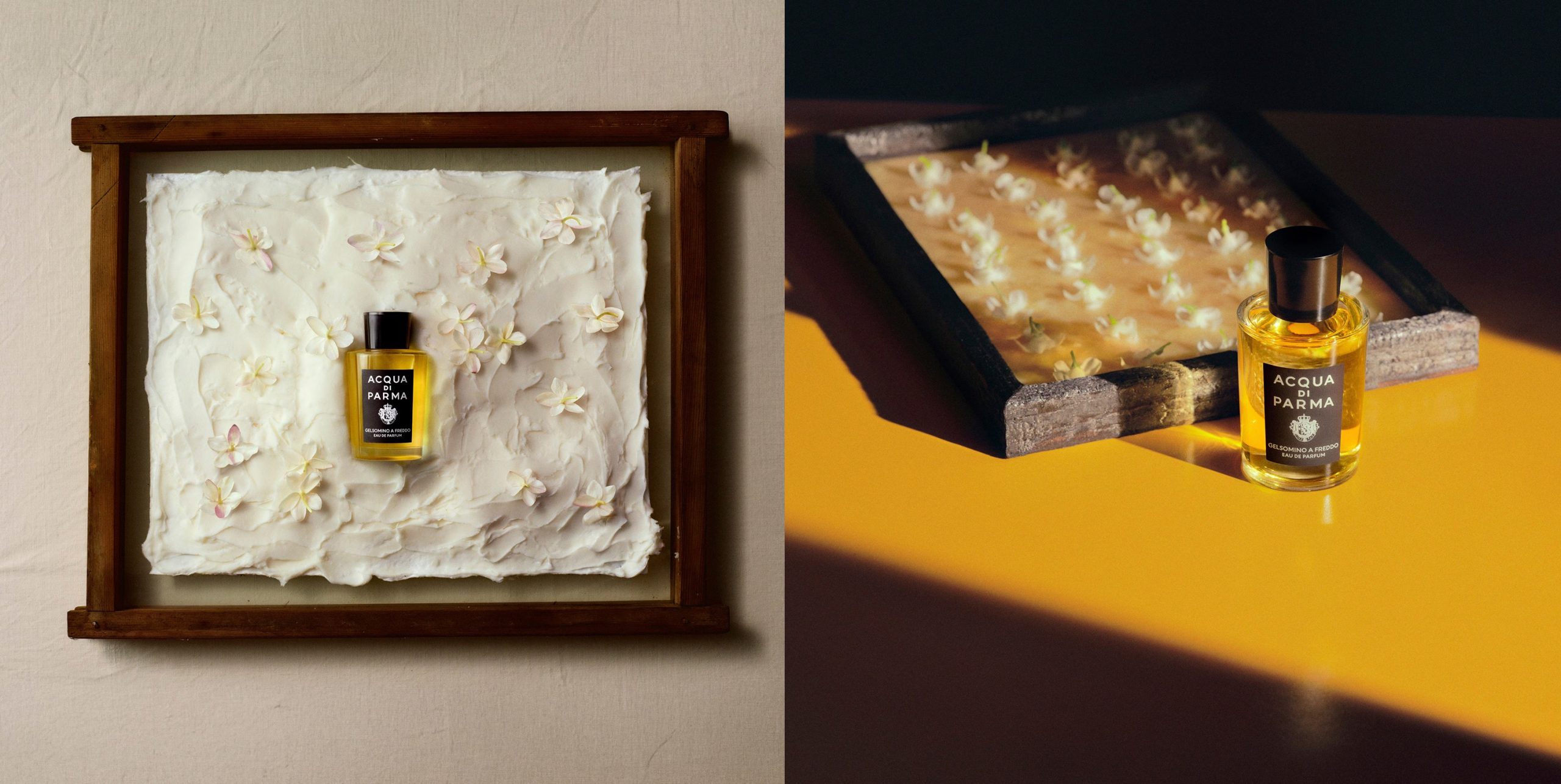 Acqua di Parma Gelsomino A Freddo perfumy niszowe