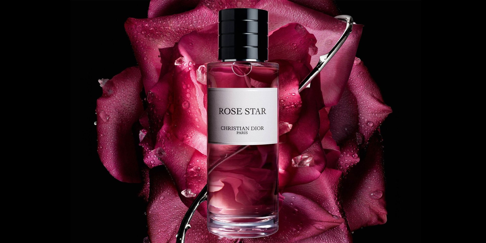 Dior Rose Star