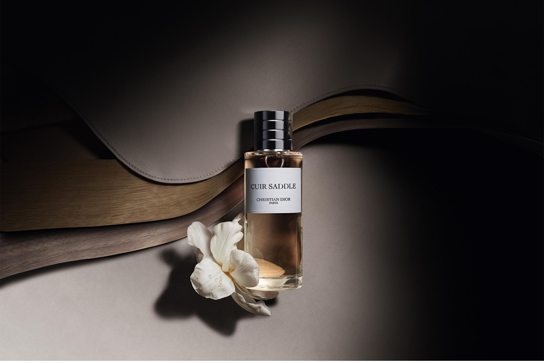 Dior Cuir Saddle Dior Cuir Saddle