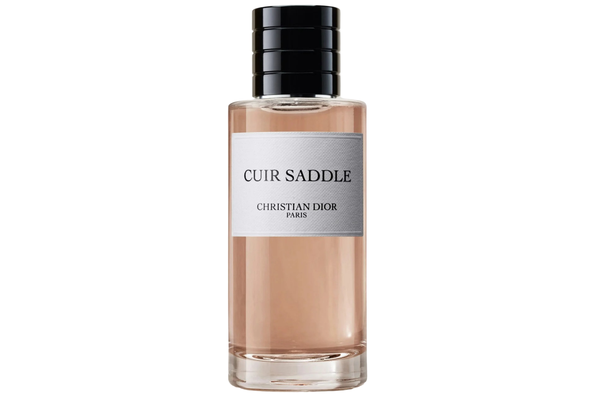 Dior Cuir Saddle Dior Cuir Saddle