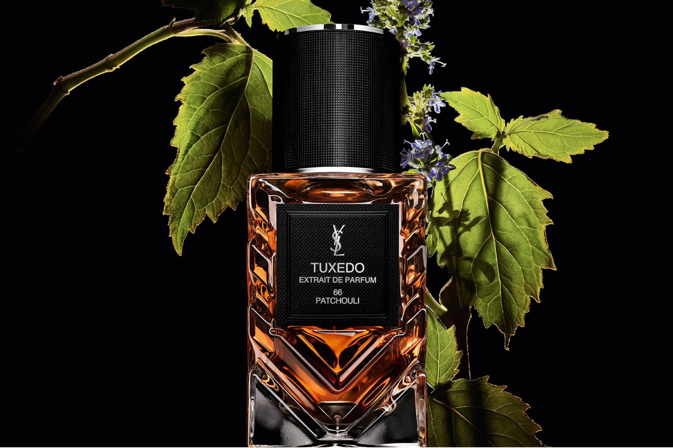 Tuxedo 66 Patchouli Extrait