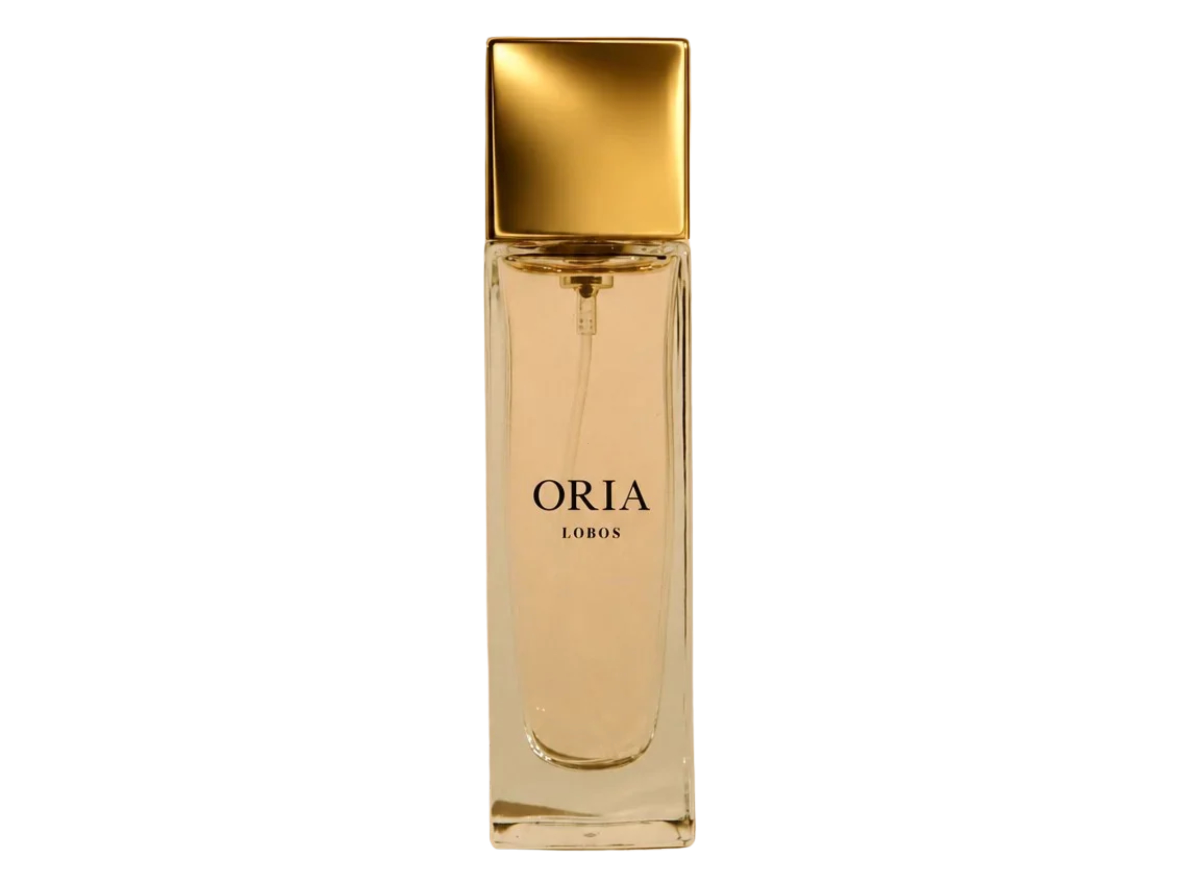Olfaktoria Oria